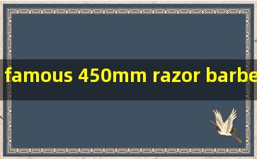 famous 450mm razor barbed wire
